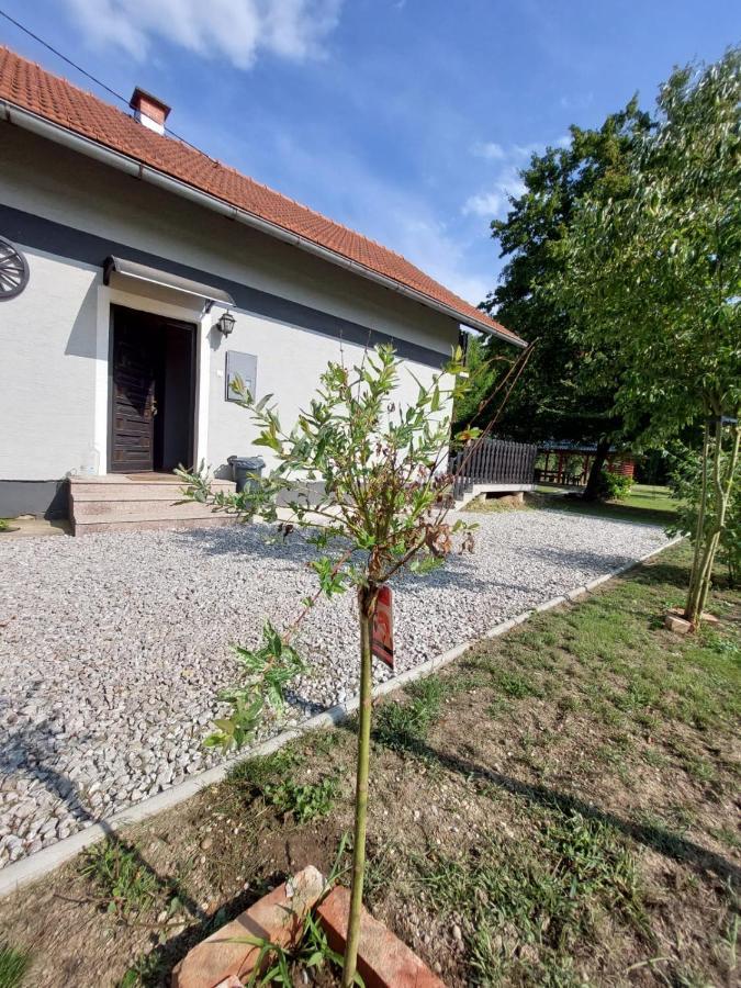 House Kupa MB Villa Petrinja Bagian luar foto