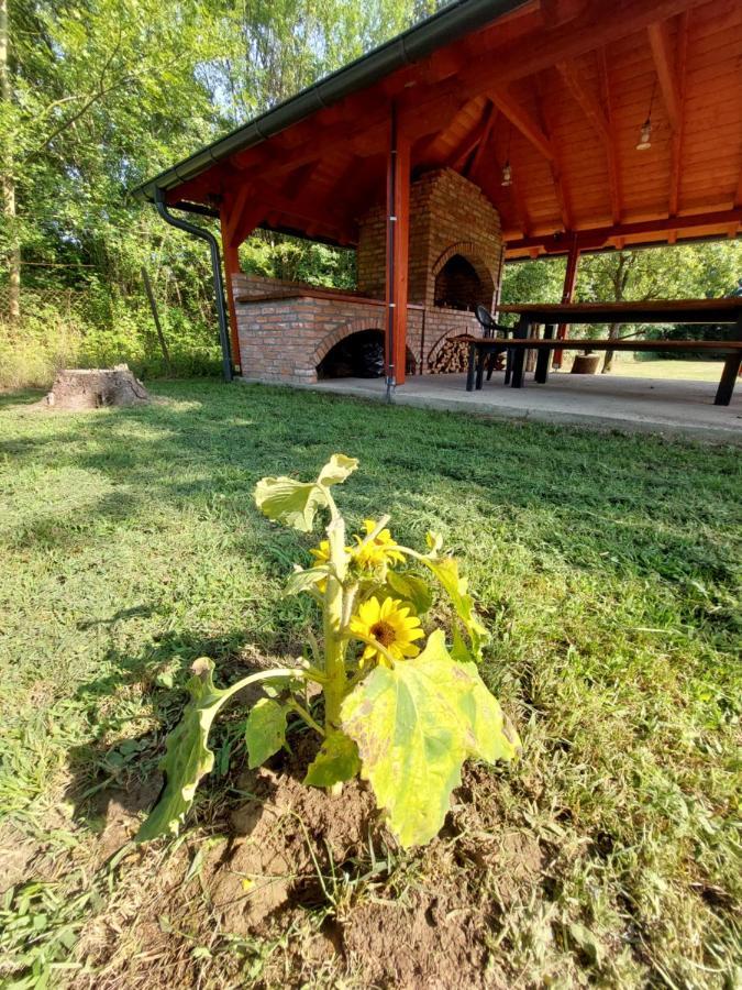 House Kupa MB Villa Petrinja Bagian luar foto