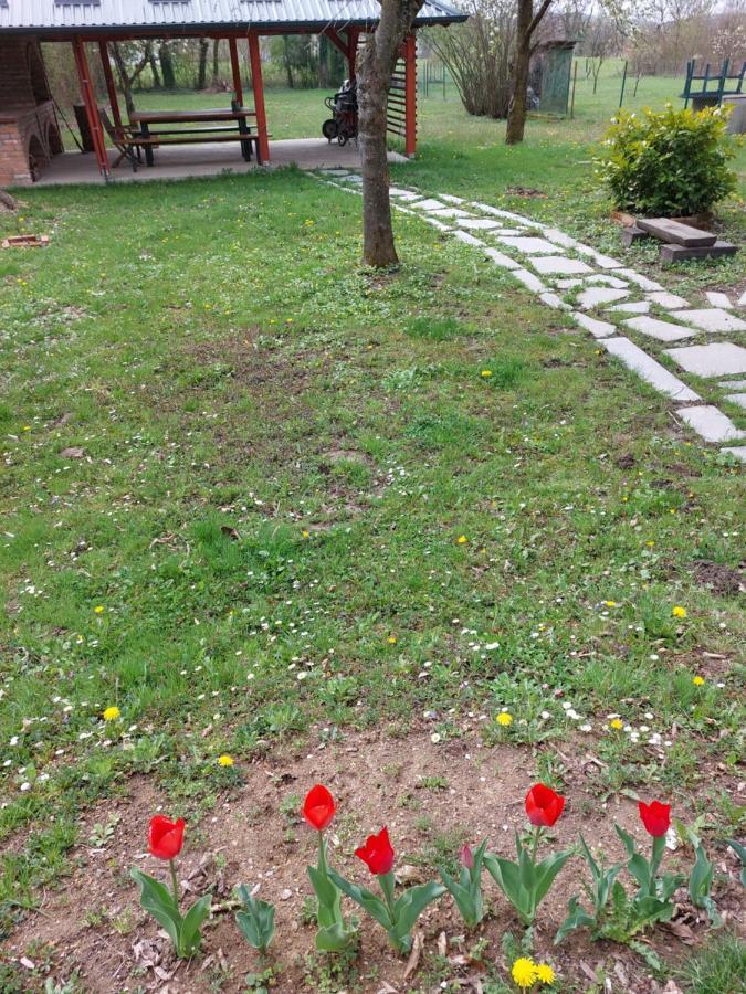 House Kupa MB Villa Petrinja Bagian luar foto